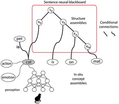 Linking Neural and Symbolic Representation and Processing of Conceptual Structures